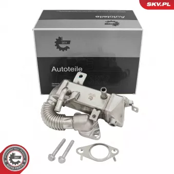 ESEN SKV 14SKV288 - Radiateur, réaspiration des gaz d'échappement