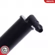 ESEN SKV 15SKV717 - Gicleur d'eau de nettoyage, nettoyage des phares