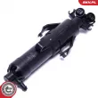 ESEN SKV 15SKV730 - Gicleur d'eau de nettoyage, nettoyage des phares