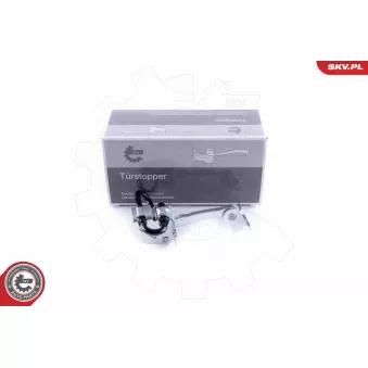 Cale-porte ESEN SKV OEM 51754186