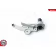 ESEN SKV 17SKV310 - Capteur d'angle, vilebrequin