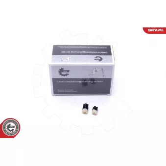 Appareil de commande, boîte automatique ESEN SKV 17SKV470 pour MERCEDES-BENZ CLASSE C C 200 CDI - 122cv