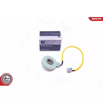 Détecteur de l'angle de braquage ESEN SKV 17SKV482 pour FIAT PUNTO 1.3 D Multijet - 95cv