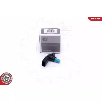 Capteur, position d'arbre à cames ESEN SKV 17SKV490 pour ALPINE A110 3.0 TDI quattro - 204cv