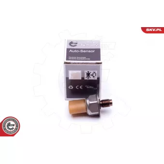 Capteur, pression de carburant ESEN SKV 17SKV583 pour BMW X5 3.0 TDI - 240cv