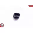 ESEN SKV 17SKV618 - Capteur, pression de carburant