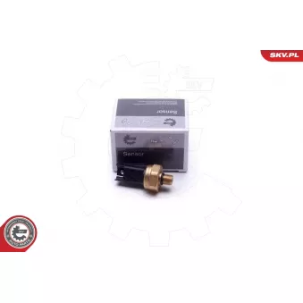 Capteur, pression de carburant ESEN SKV 17SKV620 pour OPEL MOVANO 335 i - 326cv