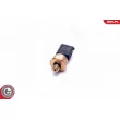 ESEN SKV 17SKV622 - Capteur, pression de carburant