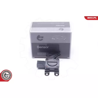 Capteur, pression des gaz échappement ESEN SKV 17SKV665 pour BMW Série 5 530 d - 286cv