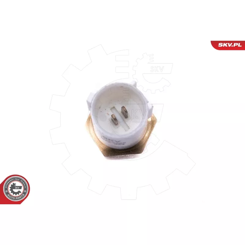 Capteur, température de l'air d'admission ESEN SKV 17SKV688 - Visuel 2