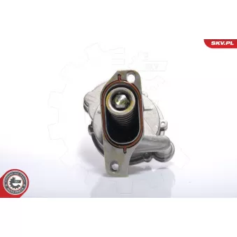 Pompe à vide, système de freinage ESEN SKV 18SKV005 pour VOLKSWAGEN LT 2.4 D - 69cv