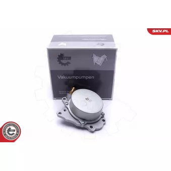 Pompe à vide, freinage ESEN SKV 18SKV041 pour VOLKSWAGEN AMAROK 2.0 TDI - 122cv