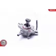 ESEN SKV 18SKV042 - Pompe à vide, freinage
