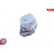 ESEN SKV 18SKV061 - Pompe à vide, freinage