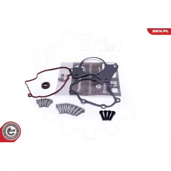 Kit de réparation, pompe à vide (freinage) ESEN SKV OEM 070145209F
