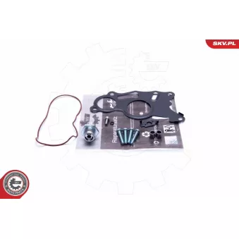 Kit de réparation, pompe à vide (freinage) ESEN SKV 18SKV803 pour AUDI Q3 2.0 TDI quattro - 177cv