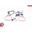 ESEN SKV 18SKV804 - Kit de réparation, pompe à vide (freinage)