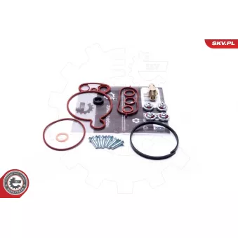 Kit de réparation, pompe à vide (freinage) ESEN SKV 18SKV805 pour VOLKSWAGEN LT 2.4 D - 69cv