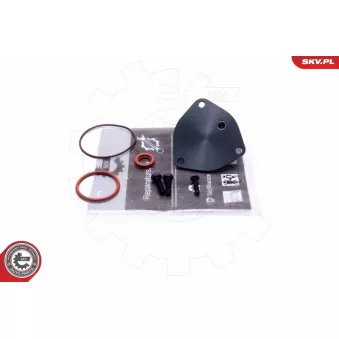 Kit de réparation, pompe à vide (freinage) ESEN SKV 18SKV806 pour VOLKSWAGEN TRANSPORTER - COMBI 1.9 D - 60cv