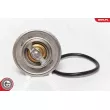ESEN SKV 20SKV003 - Thermostat d'eau