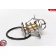 ESEN SKV 20SKV003 - Thermostat d'eau