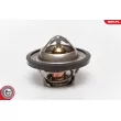ESEN SKV 20SKV015 - Thermostat d'eau