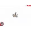 ESEN SKV 20SKV043 - Thermostat d'eau