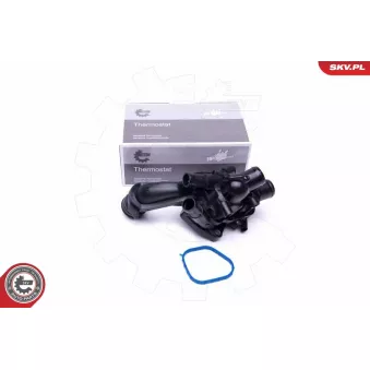 Thermostat, liquide de refroidissement ESEN SKV 20SKV100 pour MINI MINI COUNTRYMAN Cooper S ALL4 - 163cv