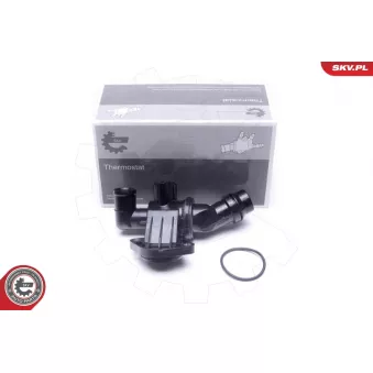 Thermostat, liqiuide de refroidissement ESEN SKV 20SKV162