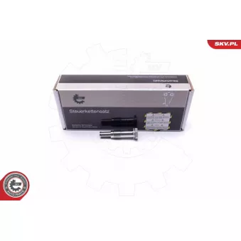 Tendeur, chaîne de distribution ESEN SKV 21SKV072 pour BMW Série 1 125 i - 238cv