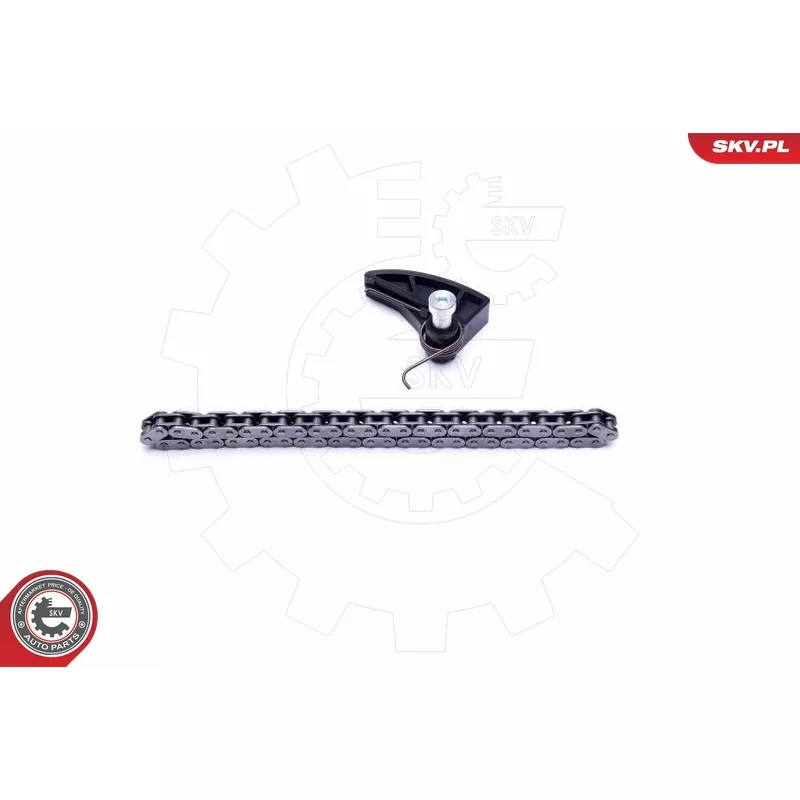 Kit de chaînes, commade de pompe à huile ESEN SKV 21SKV108 - Visuel 1