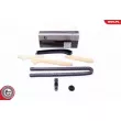 Kit de distribution par chaîne ESEN SKV [21SKV126]