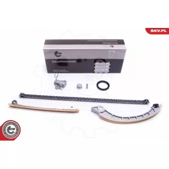 Kit de distribution par chaîne ESEN SKV OEM 93193744