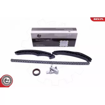 Kit de distribution par chaîne ESEN SKV OEM 038103085e