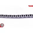 ESEN SKV 21SKV239 - Kit de distribution par chaîne