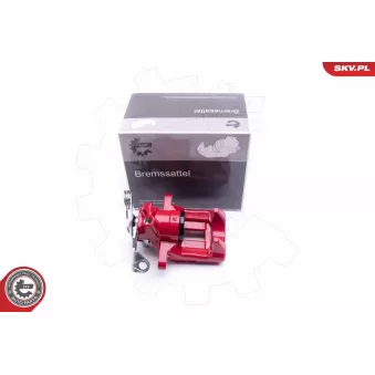 Étrier de frein arrière droit ESEN SKV OEM 8E0615424