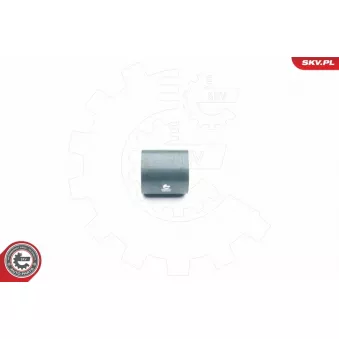 Gaine de suralimentation ESEN SKV 24SKV034 pour CITROEN C4 3.0 TDI quattro - 211cv