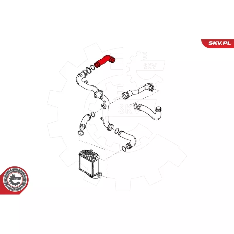 Gaine de suralimentation arrière droit ESEN SKV 24SKV043 - Visuel 2