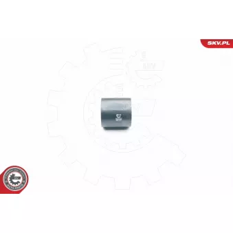 Gaine de suralimentation ESEN SKV OEM 701145828D