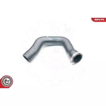 Gaine de suralimentation ESEN SKV 24SKV114 pour AUDI A4 3.0 - 220cv