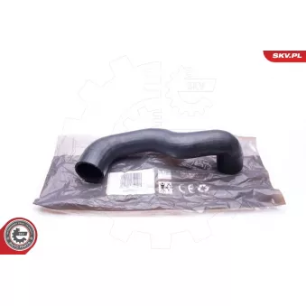 Gaine de suralimentation ESEN SKV 24SKV132 pour FORD TOURNEO 1.9 TTiD - 130cv