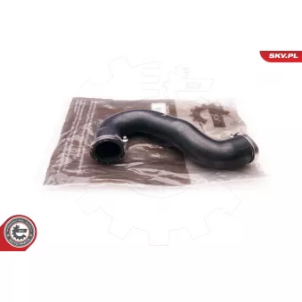 Gaine de suralimentation ESEN SKV 24SKV178 pour PONTIAC FIREBIRD 2.0 TDI 4motion - 140cv