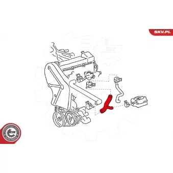 Durite de radiateur ESEN SKV 24SKV326 pour VOLKSWAGEN PASSAT 1.6 TD - 80cv