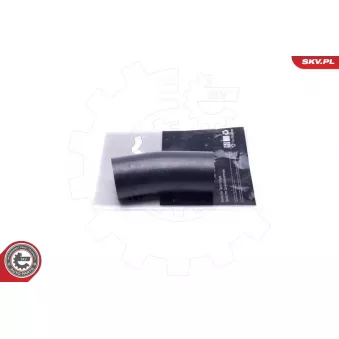 Gaine de suralimentation ESEN SKV 24SKV599 pour FORD C-MAX 2.0 TDCi - 163cv