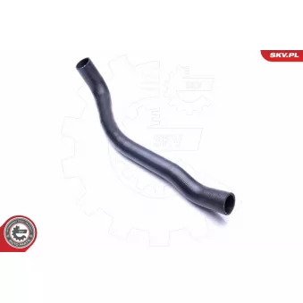 Gaine de suralimentation ESEN SKV 24SKV784 pour LEXUS GS 2.2 TDCi - 85cv
