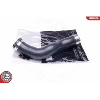 Gaine de suralimentation ESEN SKV 24SKV890 pour FIAT 850 320 d xDrive - 163cv
