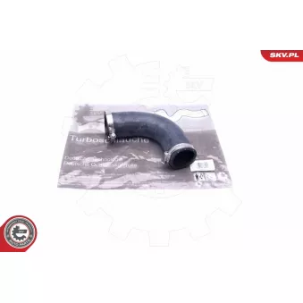 Gaine de suralimentation ESEN SKV 24SKV964 pour RENAULT MEGANE 1.9 DCI - 120cv