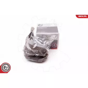 Roulement de roue arrière ESEN SKV 29SKV006 pour VOLKSWAGEN GOLF 1.6 - 102cv