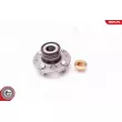 ESEN SKV 29SKV030 - Roulement de roue arrière