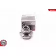 Roulement de roue arrière ESEN SKV [29SKV049]
